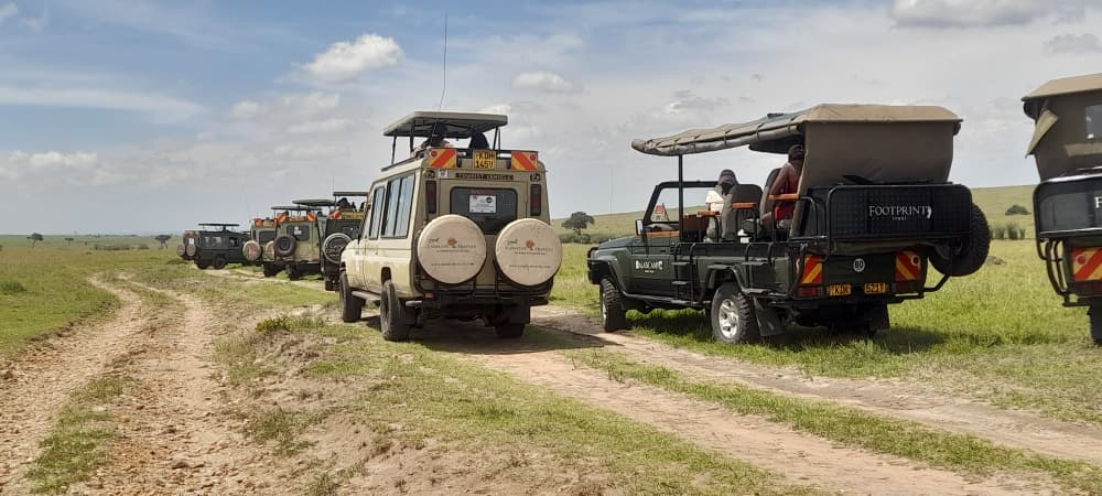 Youth Safaris Explore